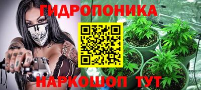 a pvp Обь