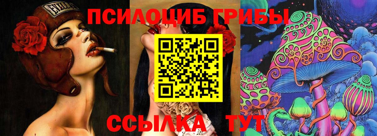 Псилоцибиновые грибы Psilocybine cubensis Соль-Илецк