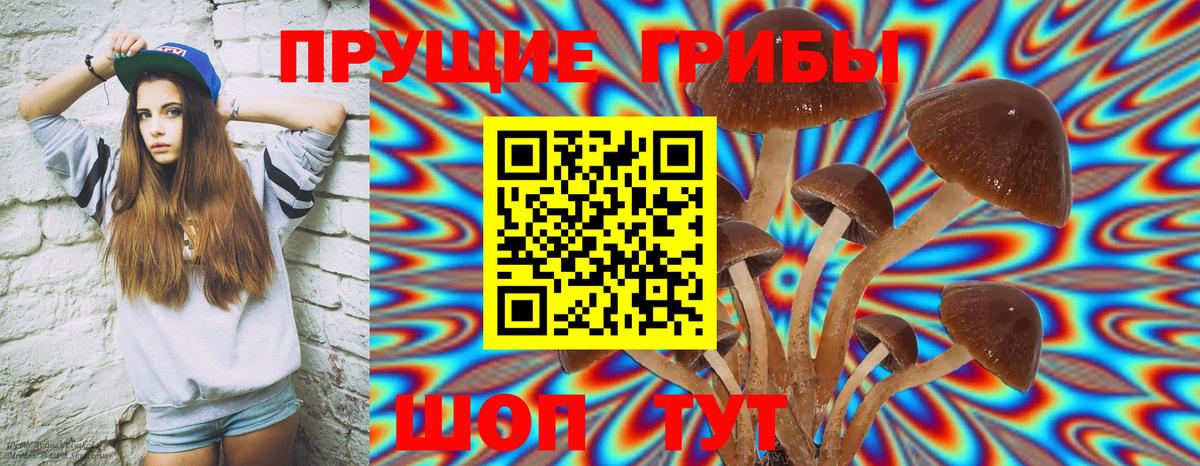 Галлюциногенные грибы прущие грибы  Вход с VPN  Соль-Илецк 
